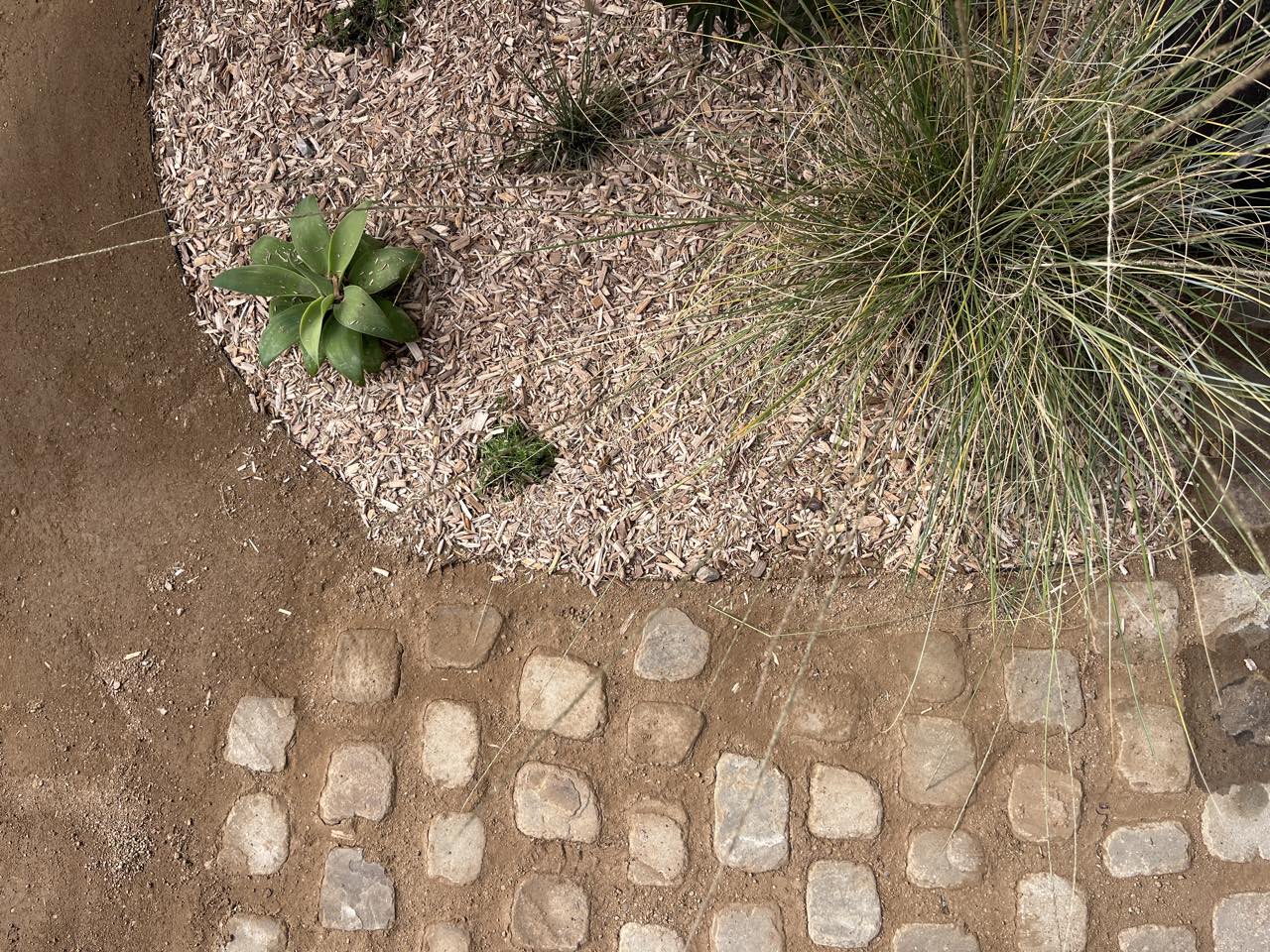 Cobblestone edging & planting