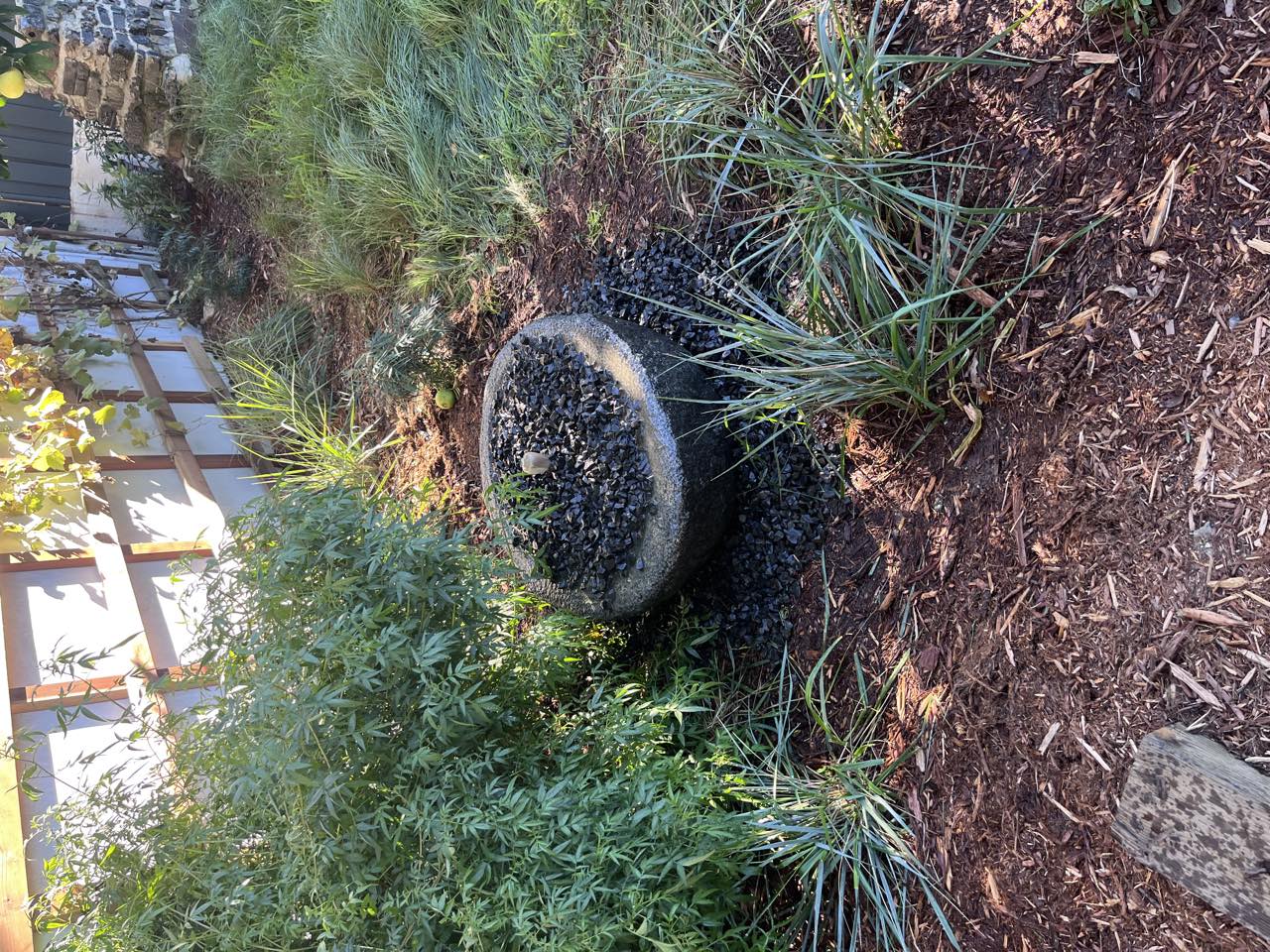 Concrete bowl fountain, native garden