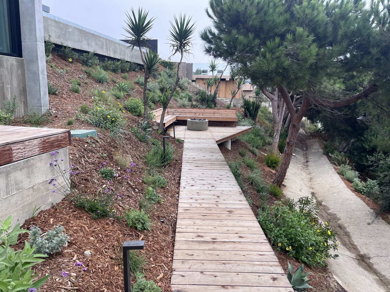 Hillside boardwalk & native garden