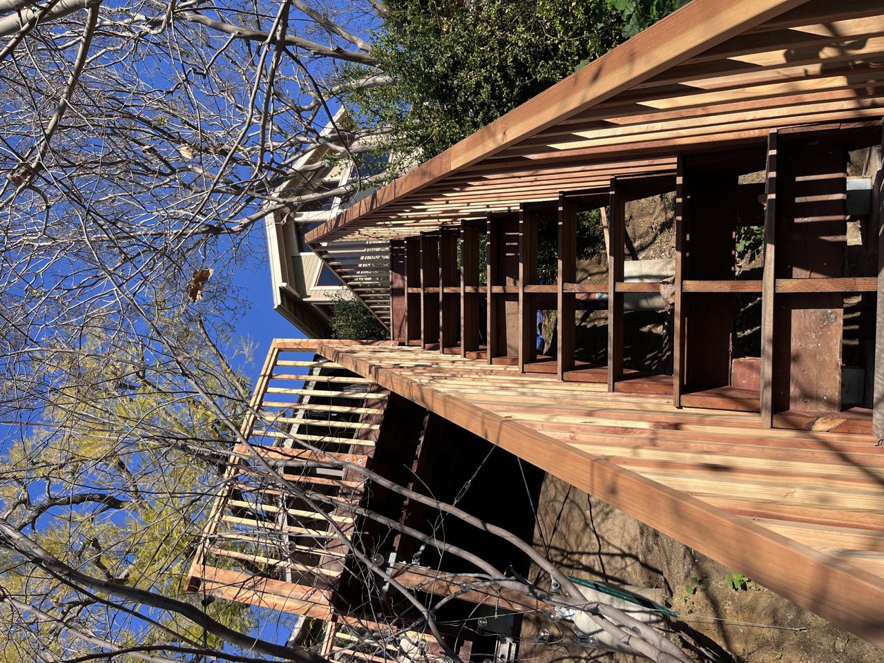 Redwood hillside staircase