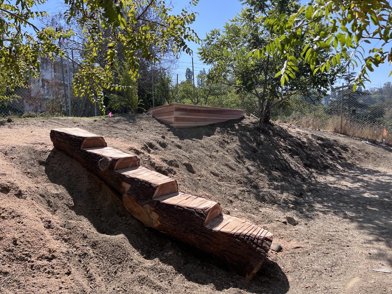 Redwood log steps, hillside