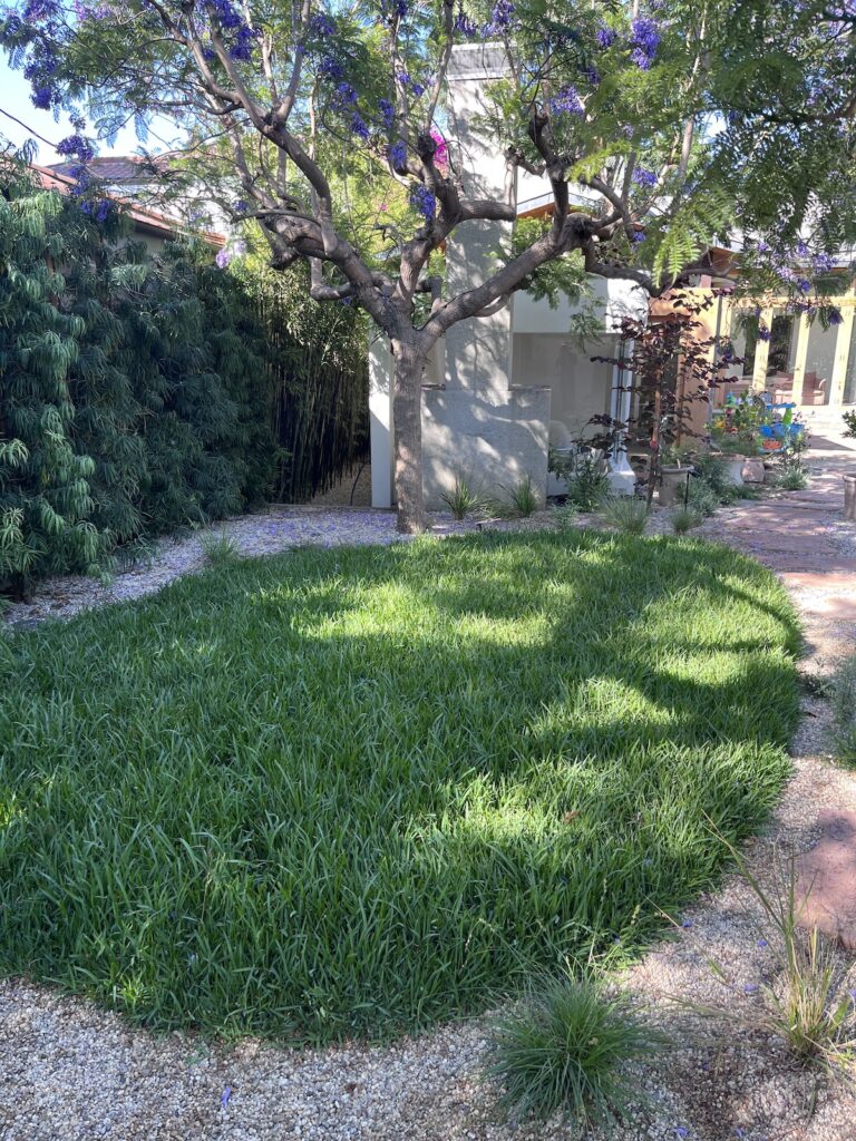 Affordable Landscaping in Los Angeles