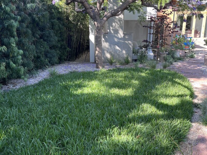 Affordable Landscaping in Los Angeles