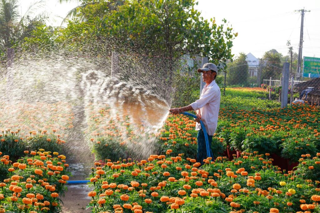 Lawn Care Service Cost in Los Angeles