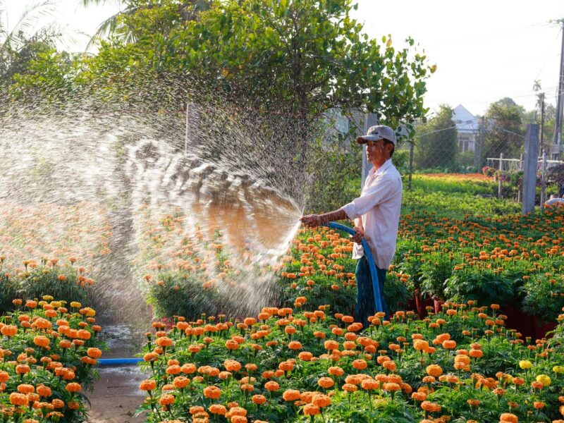 Lawn Care Service Cost in Los Angeles