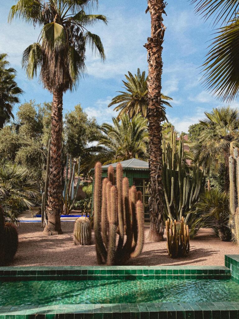 Landscaping Ideas for Southern California