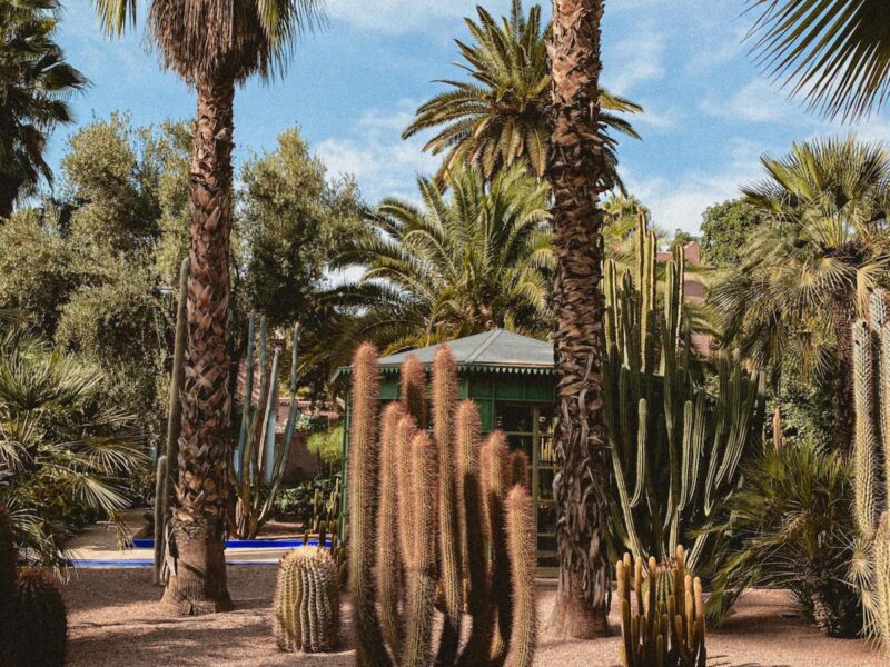 Landscaping Ideas for Southern California