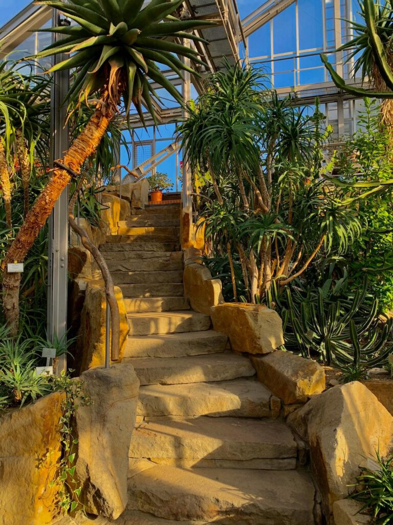 Low Water Landscaping in Los Angeles