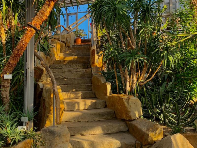 Low Water Landscaping in Los Angeles: A Comprehensive Guide