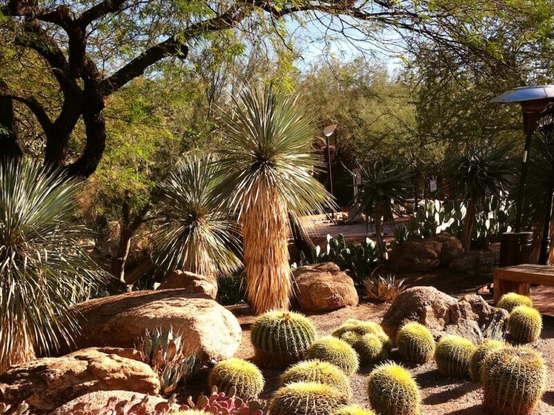 Landscape Design Ideas for Southern California