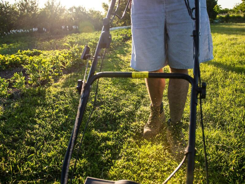Gardening Services in Santa Monica, CA