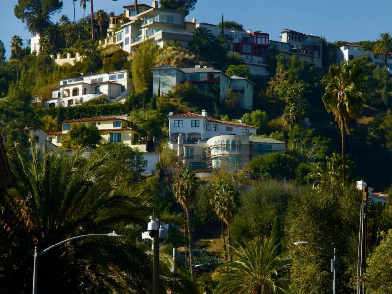 Hillside Landscaping in Los Angeles: A Comprehensive Guide