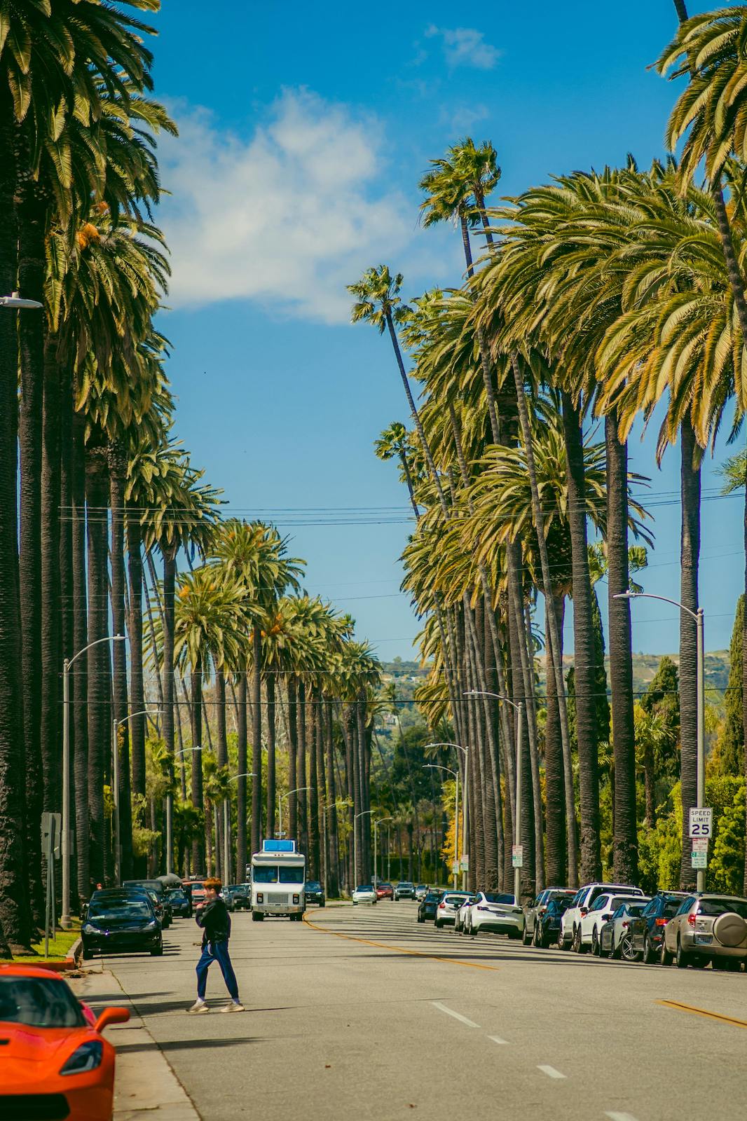 Fencing Beverly Hills: An In-Depth Guide to Fencing in the Elite Locale