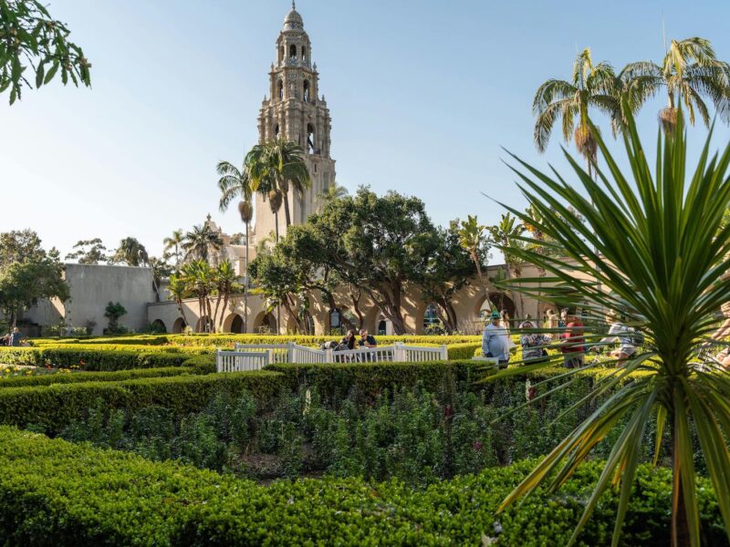 A Comprehensive Guide to Landscaping in California