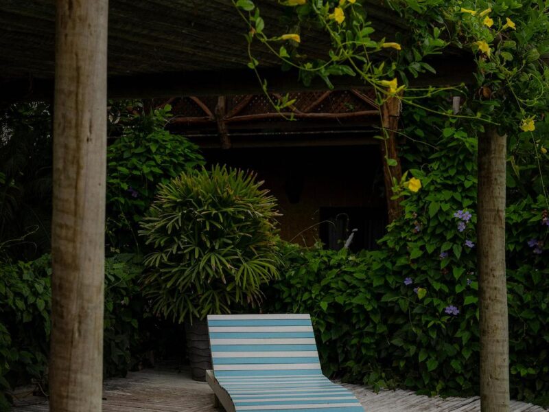 Modern Landscape Design in Los Angeles