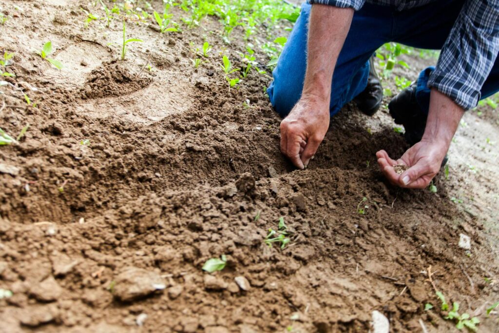 Gardener Los Angeles