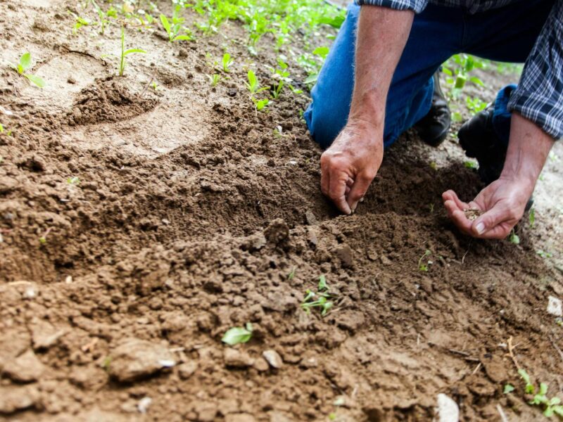 The Ultimate Guide to Hiring a LA Garden Landscaping Contractor