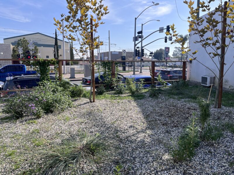 Los Angeles Landscaping Services: A Comprehensive Guide