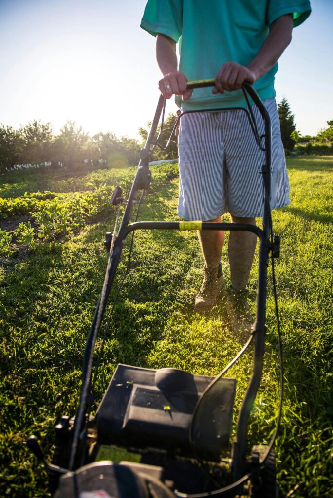 Lawn Care Maintenance Los Angeles