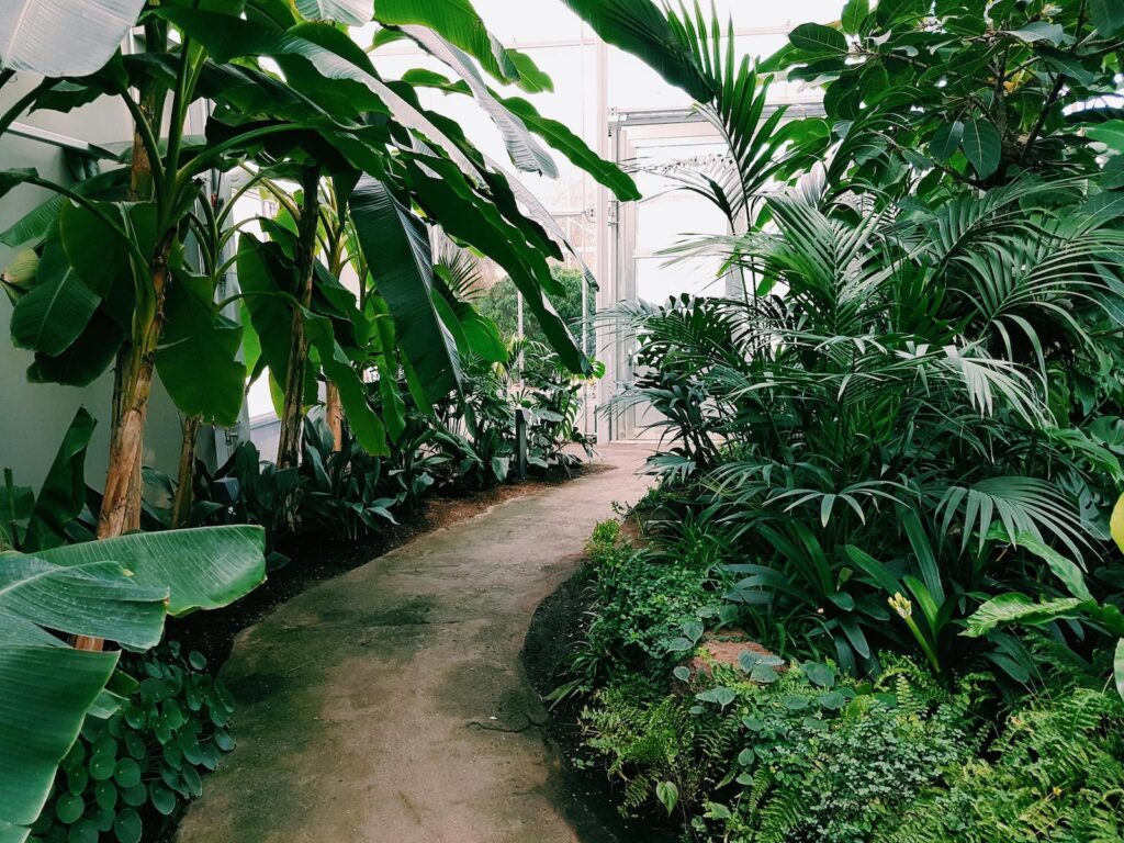 Tropical garden Los Angeles