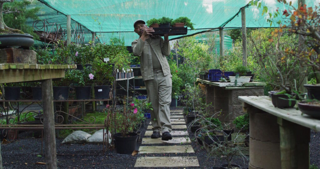 Plant nursery contractor los angeles