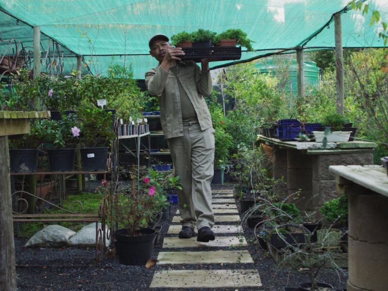 California Native Plant Nursery in Los Angeles: A Comprehensive Guide