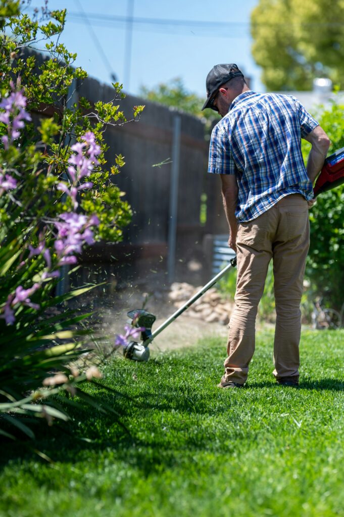 lawn care gardener services santa monica