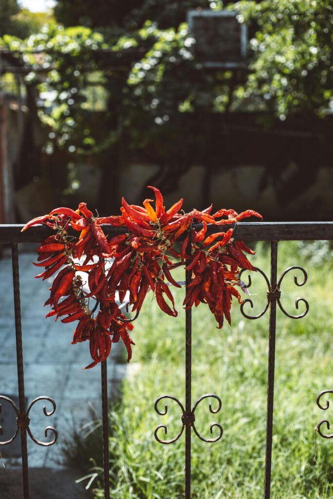 Wrought iron fence builder los angeles