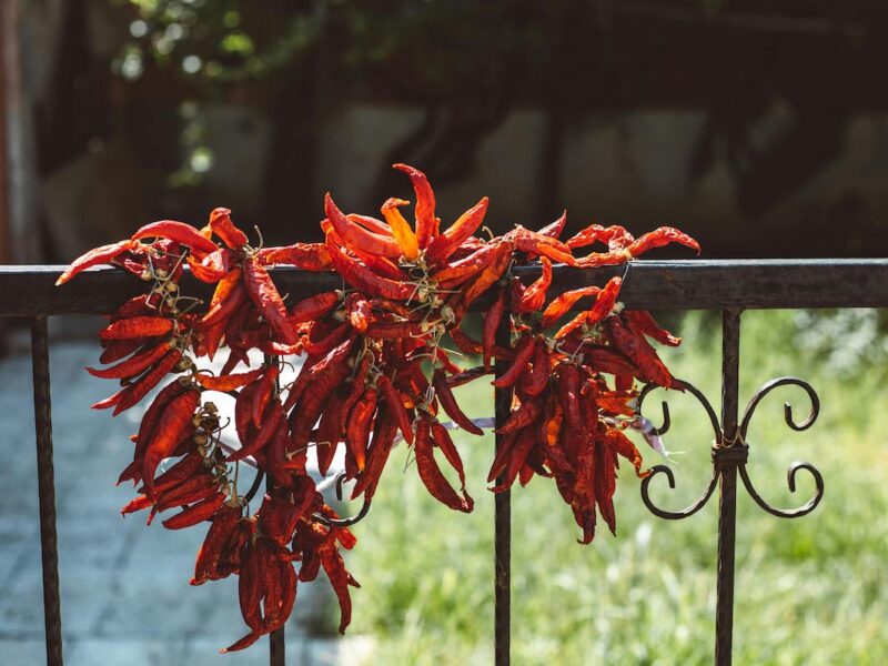 Wrought Iron Fences in San Fernando Valley: A Comprehensive Guide