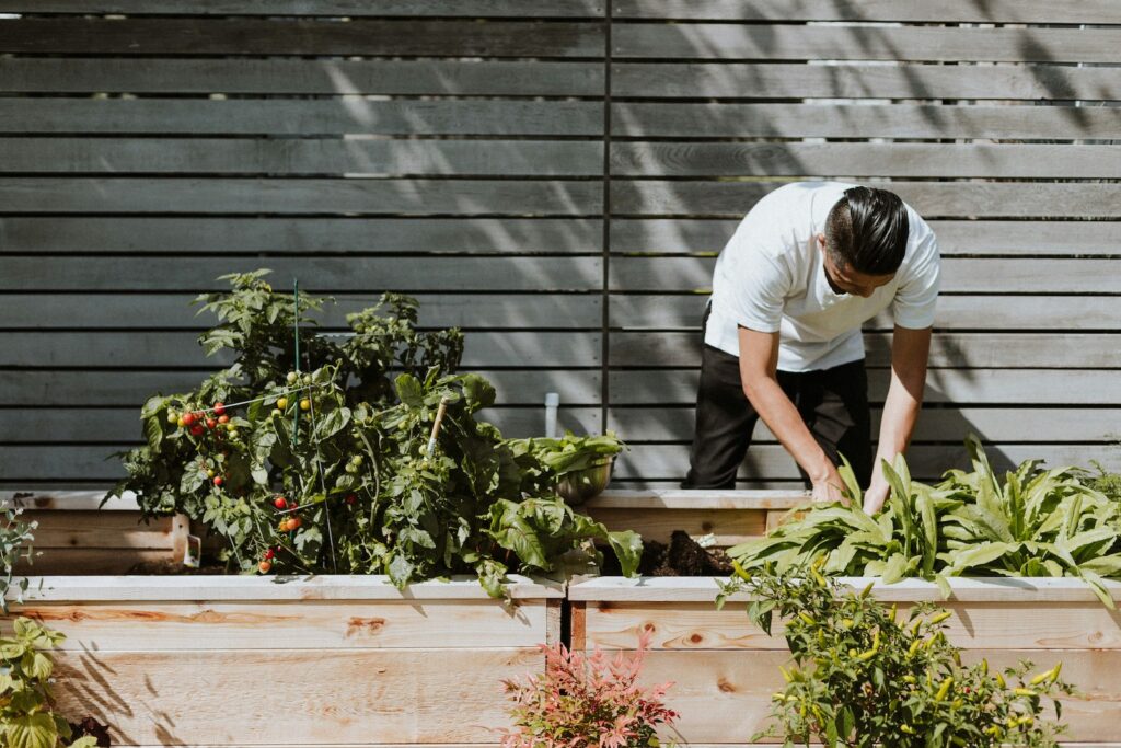 Landscape Maintenance in Los Angeles