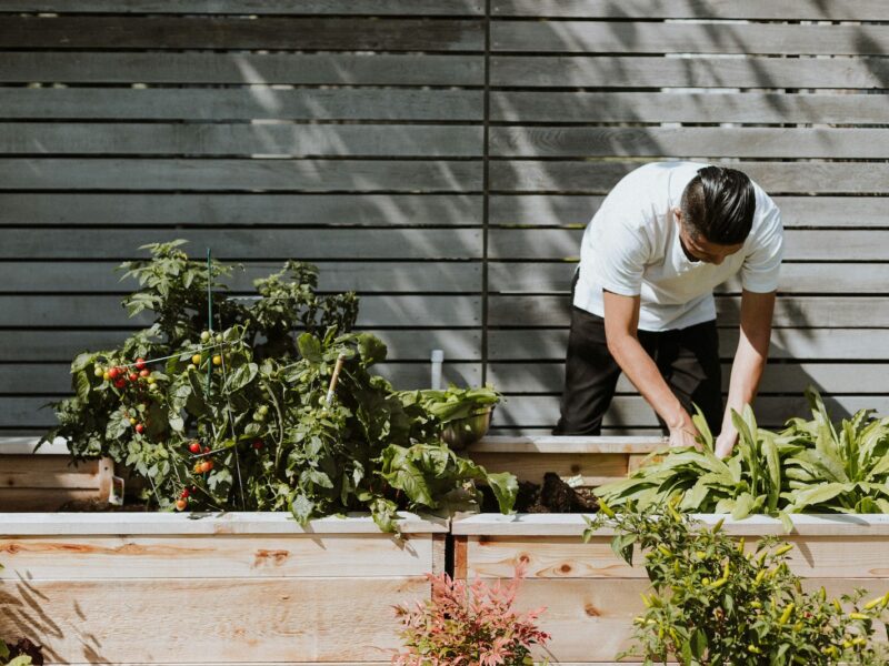 Landscape Maintenance in Los Angeles