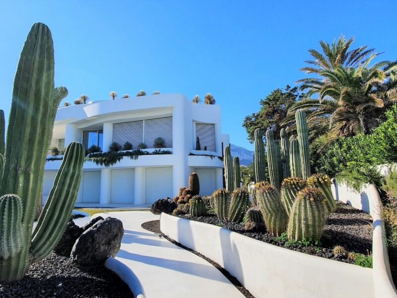 Modern Backyard Design in Encino: A Comprehensive Guide