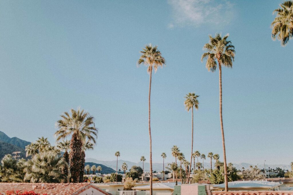Landscape of Southern California